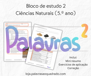 CN 5 – Rochas, minerais e o solo
