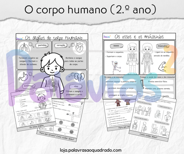O corpo humano (2.º ano)
