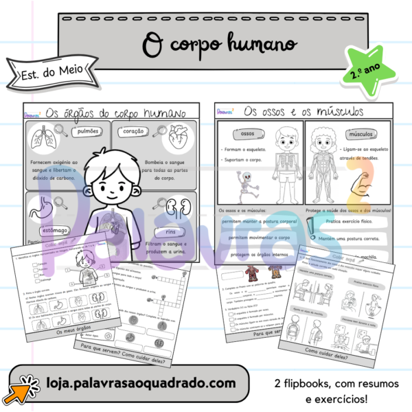 O corpo humano (2.º ano)