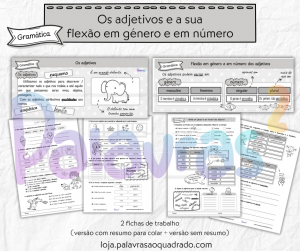 Os adjetivos e a sua flexão em género e em número