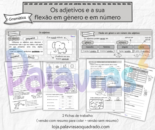 Os adjetivos e a sua flexão em género e em número
