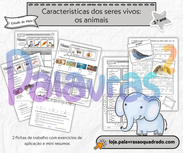 Caracter&iacute;sticas dos seres vivos: os animais