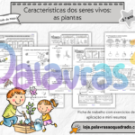 Imagem anterior do produto