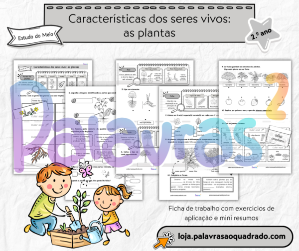 Características dos seres vivos: as plantas