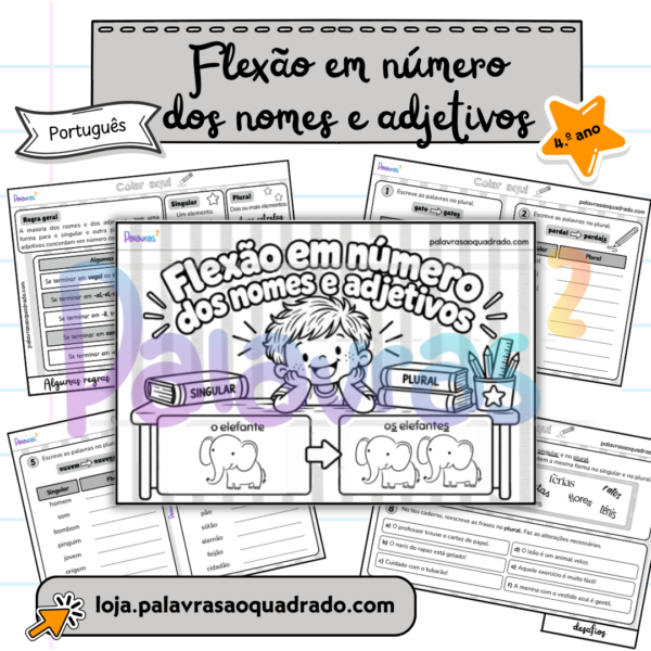 Flexão em número dos nomes e adjetivos (flipbook)